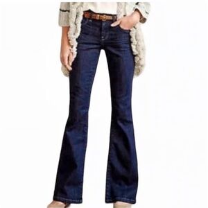 Pilcro and the Letterpress Superscript Low Rise Flare Jeans | Size 27